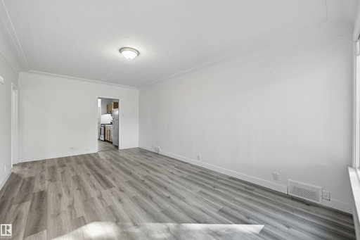 Media Image 3