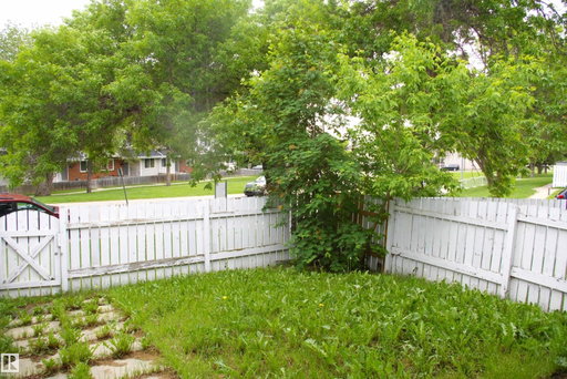 Media Image 2