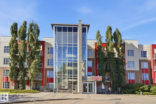 Media Image 2