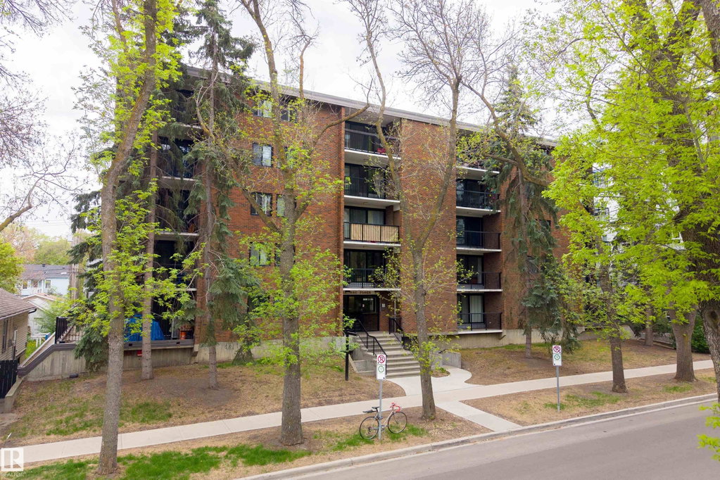 Media Image 1