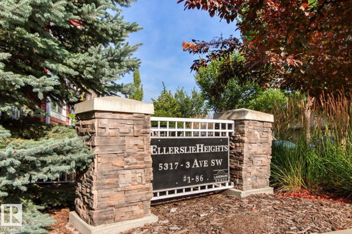 Media Image 2