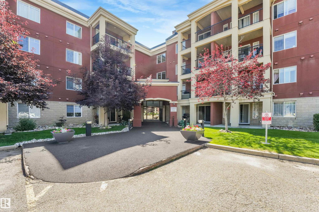 Media Image 1