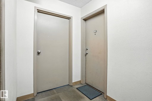 Media Image 2