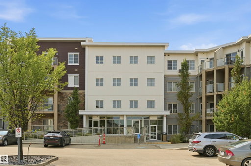 Media Image 2