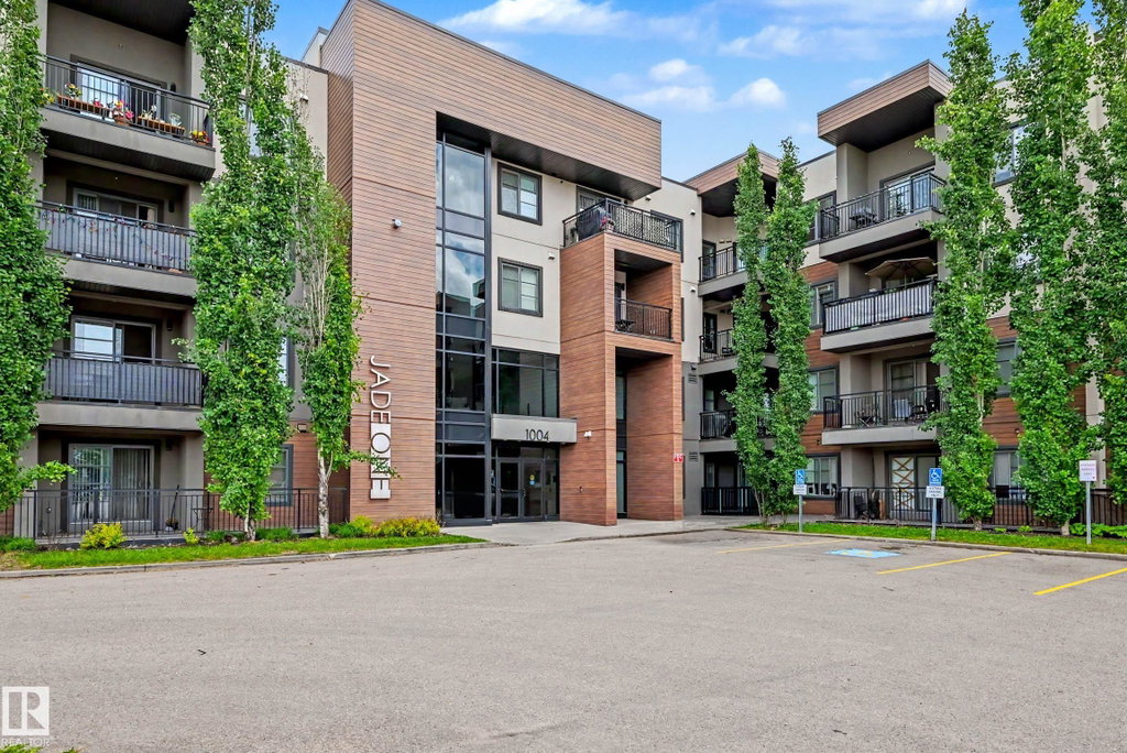 Media Image 1
