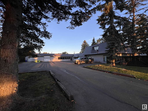 Media Image 3