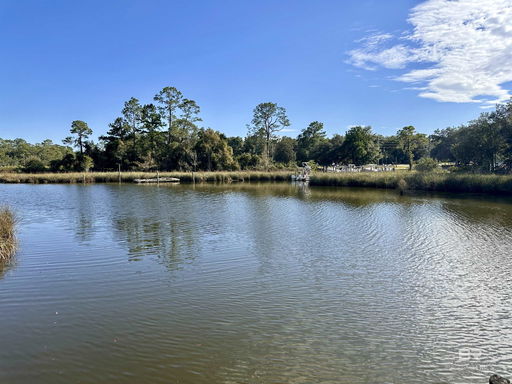 Media Image 2