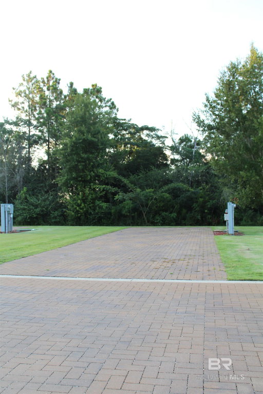 Media Image 2