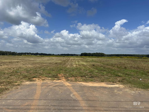 Media Image 3