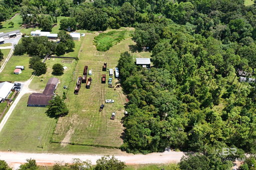 Media Image 2