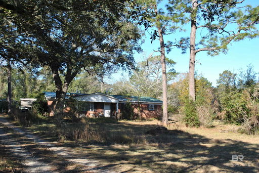Media Image 3