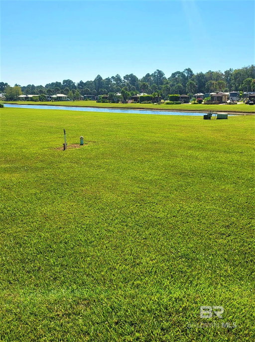 Media Image 2