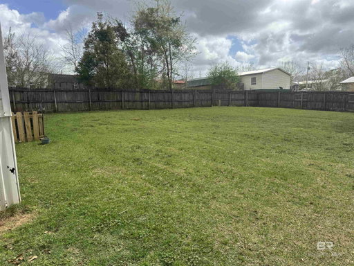 Media Image 3