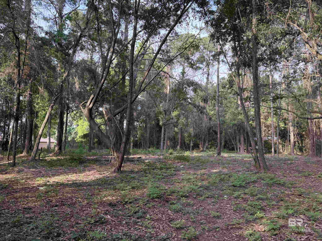 Media Image 1