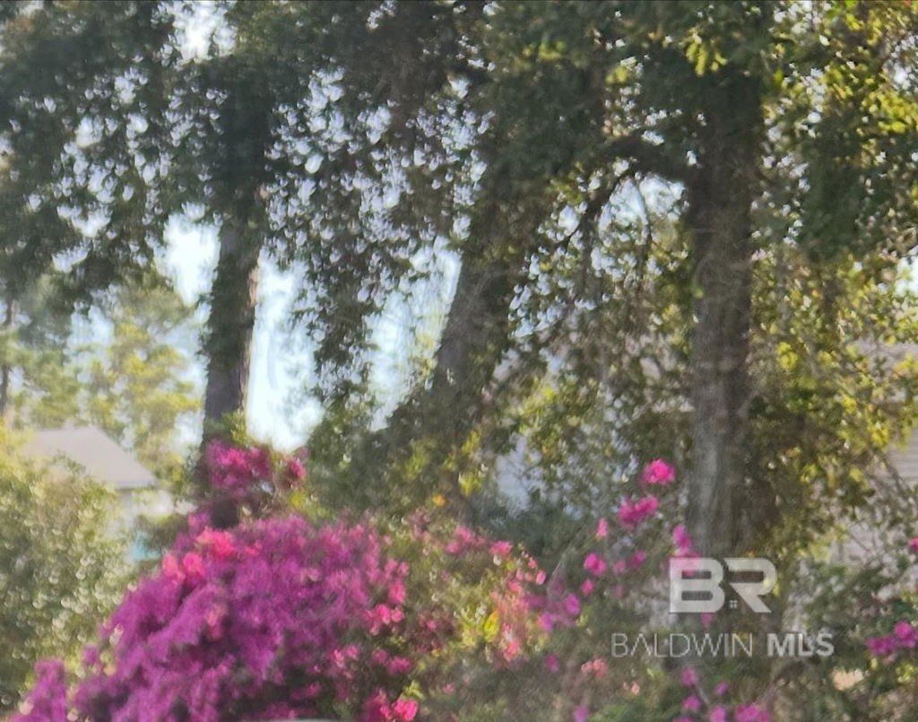 Image Unavailable