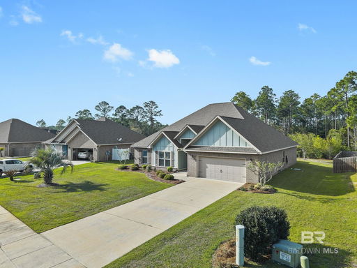 Media Image 2