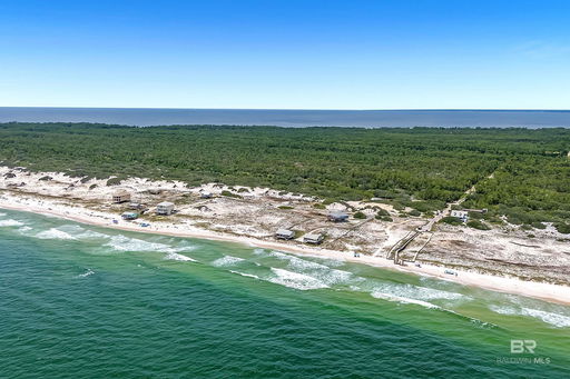 Media Image 2