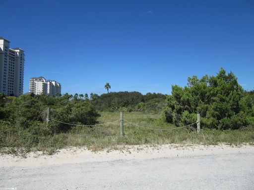 Media Image 2