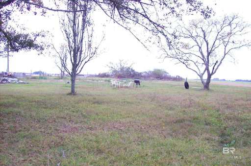 Media Image 3