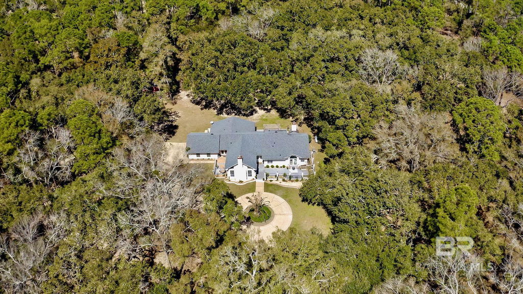Media Image 1
