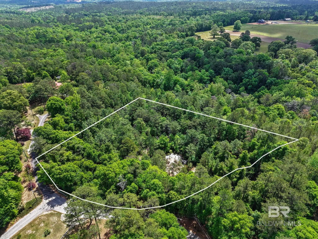Media Image 1
