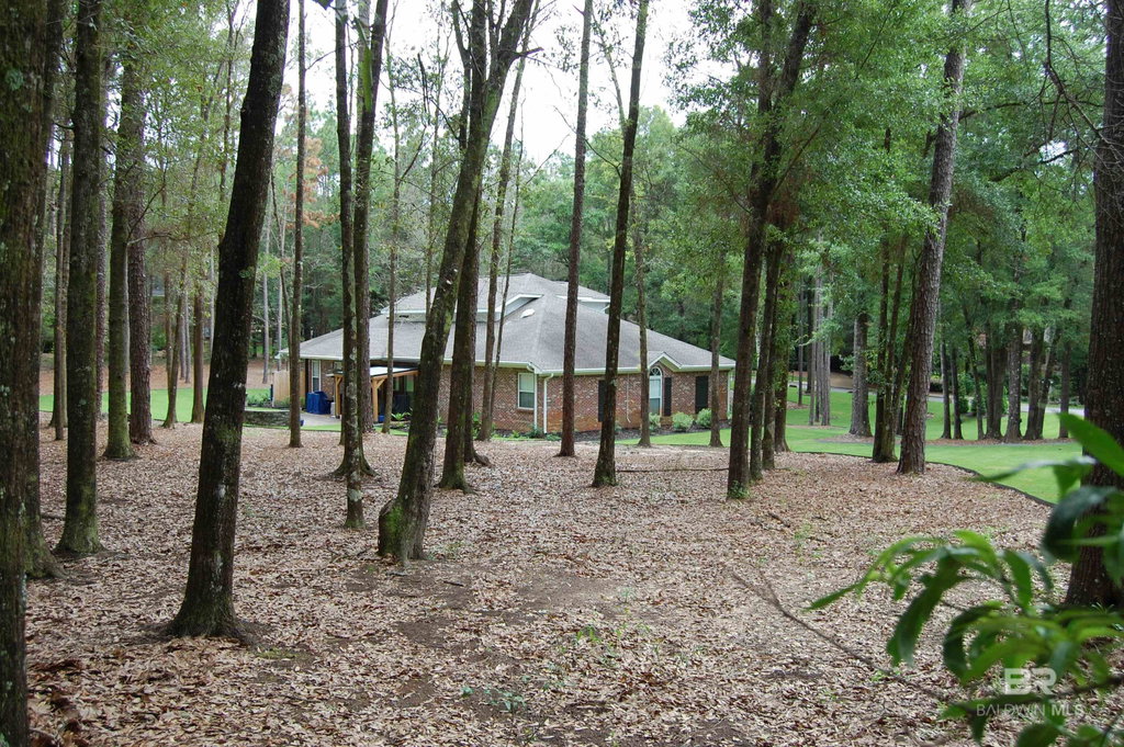 Media Image 1
