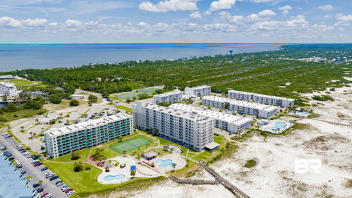 Media Image 2
