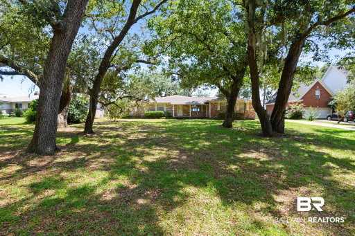 Media Image 3