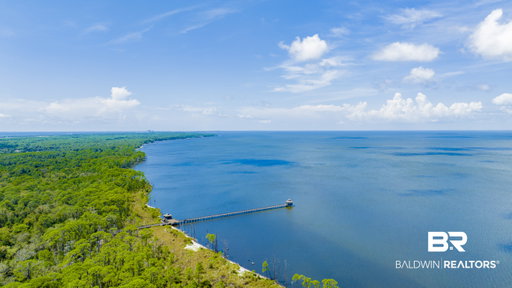 Media Image 3