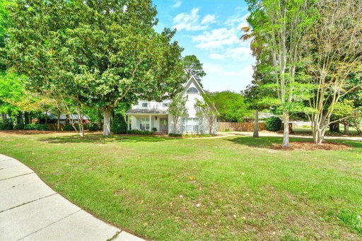 Media Image 3