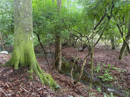 Media Image 2