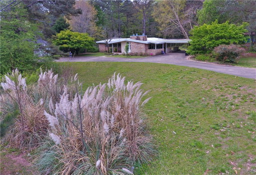Media Image 3