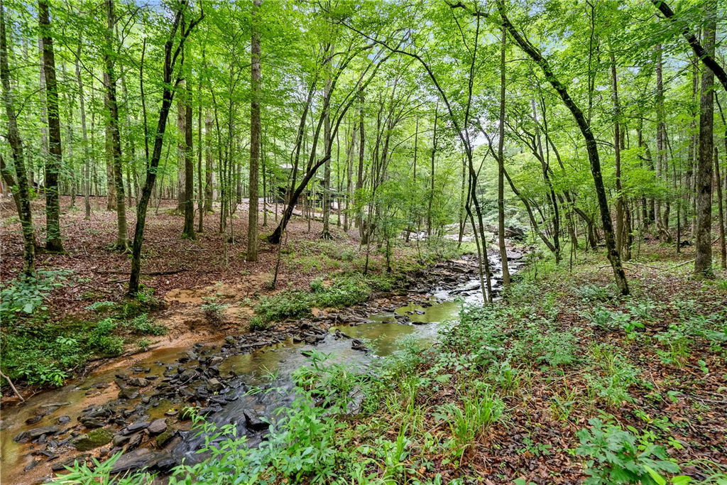 Media Image 1