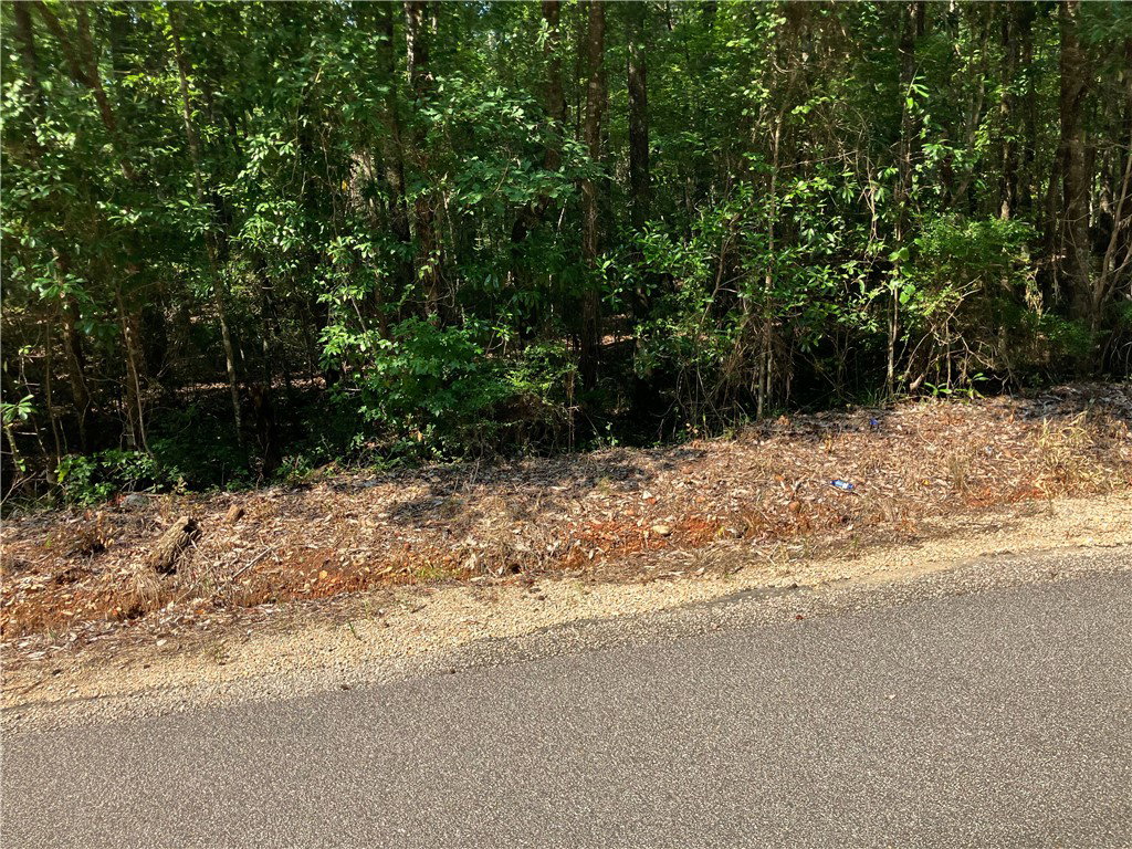 Image Unavailable