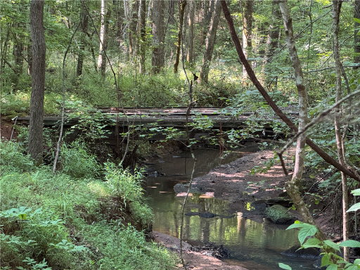 Media Image 2