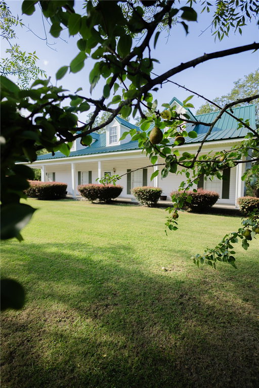 Media Image 3