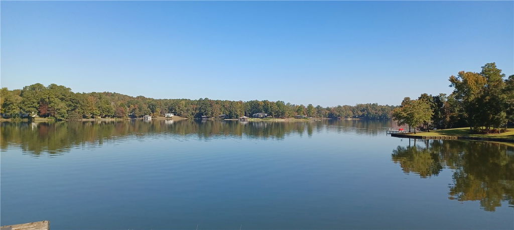 Media Image 1