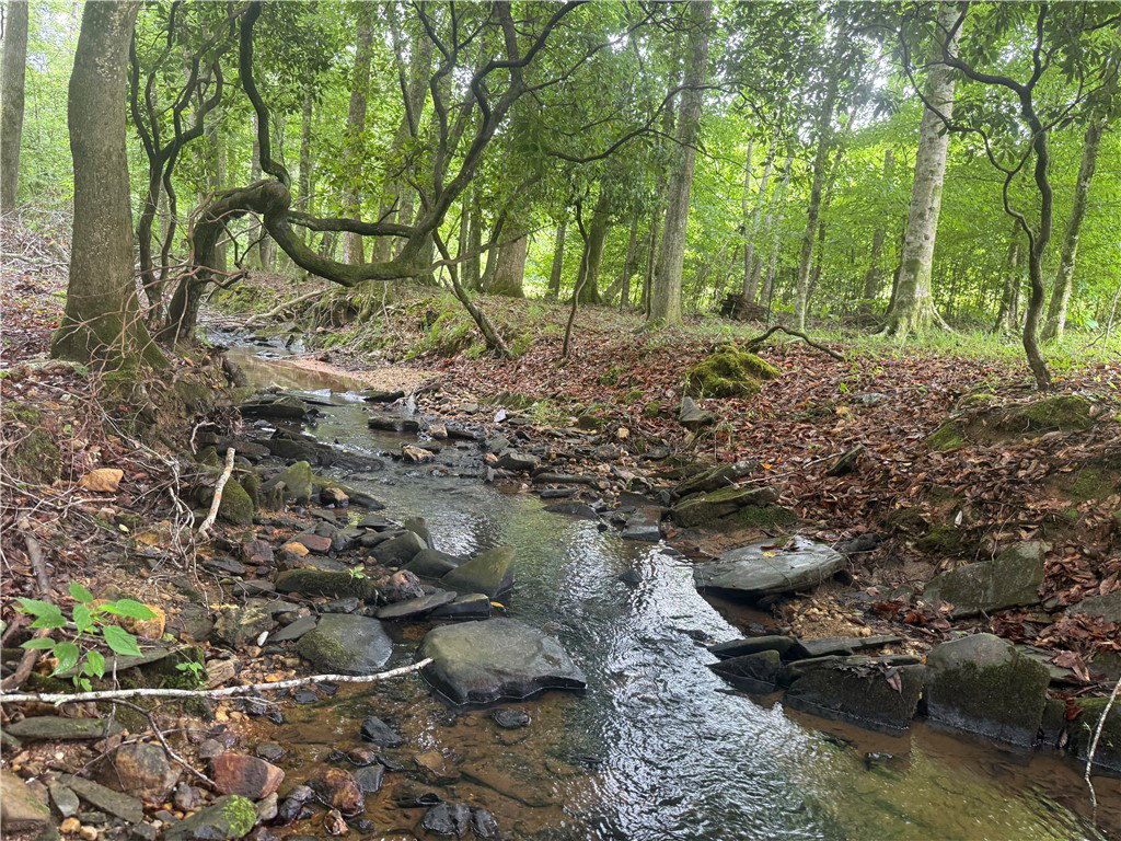 Media Image 1