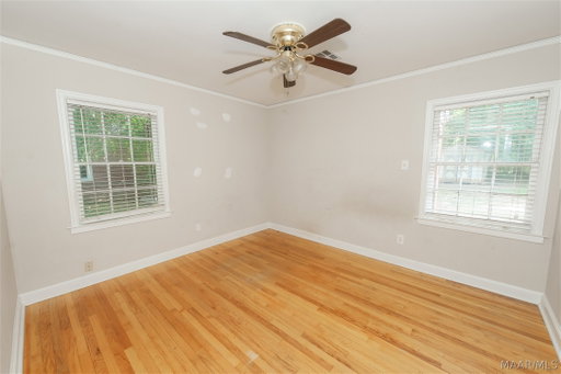 Media Image 3
