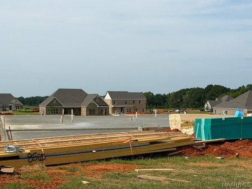 Media Image 2