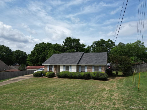 Media Image 2