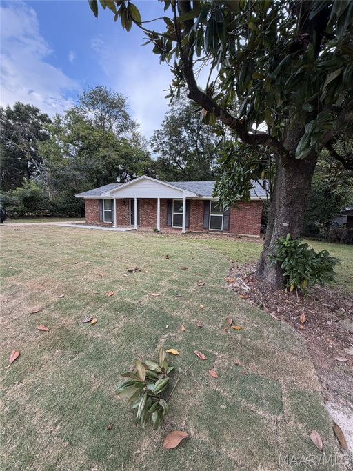 Media Image 2