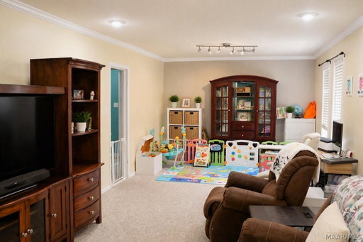 Media Image 3