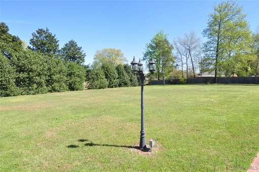 Media Image 2