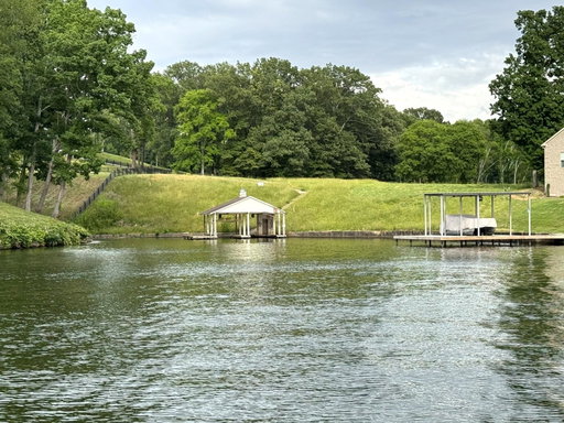 Media Image 2