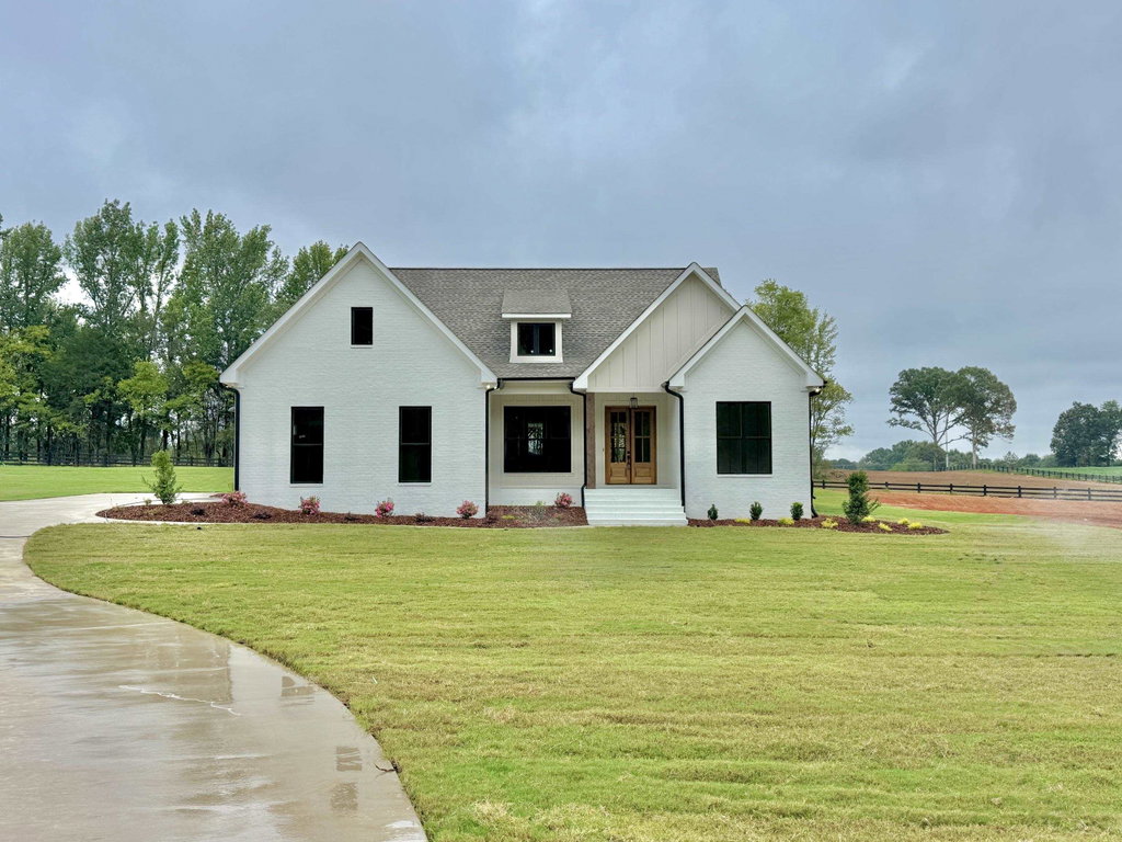 Media Image 1