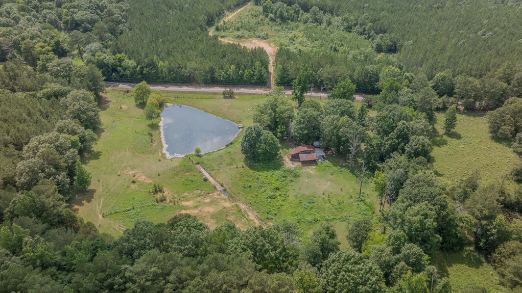 Media Image 1