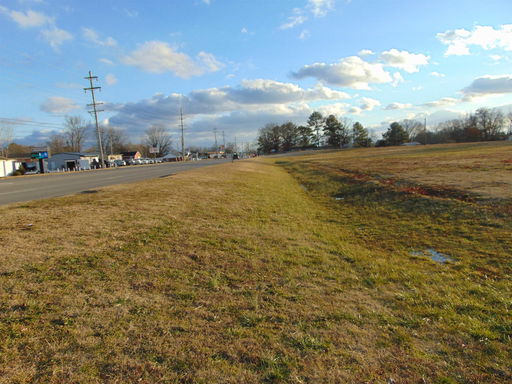 Media Image 2