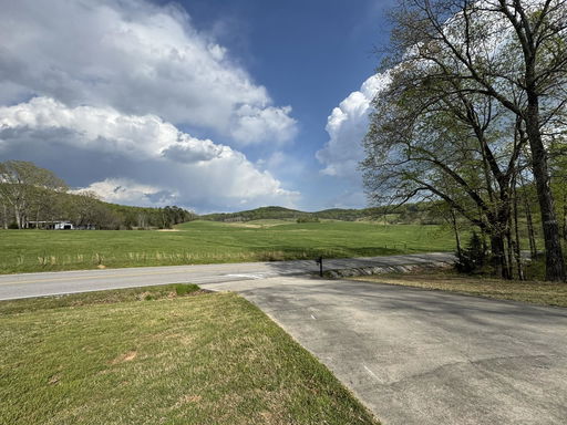 Media Image 3