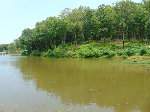Media Image 2